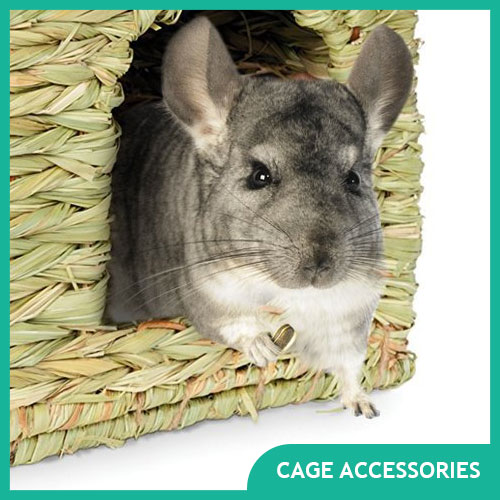 Chinchilla Cage Accessories