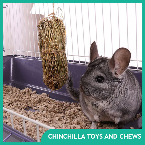 Chinchilla Toys, Wood Chews & Other Fun Stuff