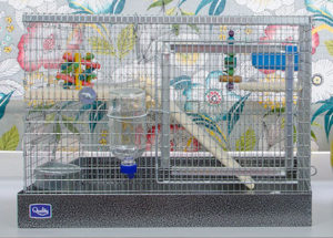 Chinchilla travel outlet cage