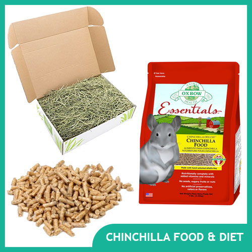 chinchilla supplies