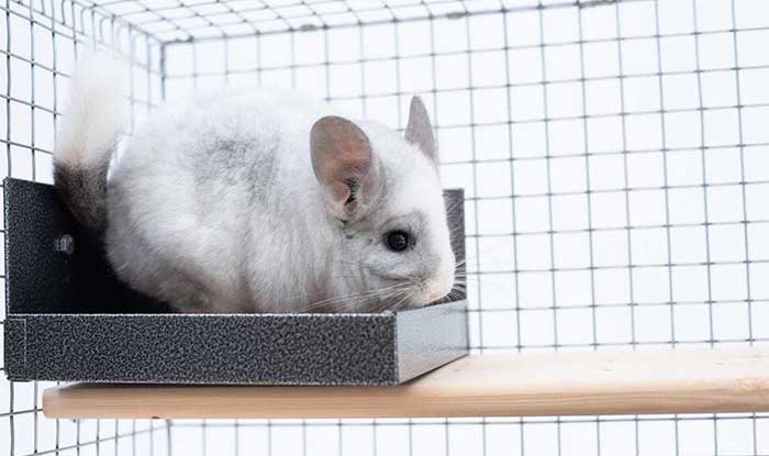 Quality Cage Crafters Metal Chinchilla Litter Box