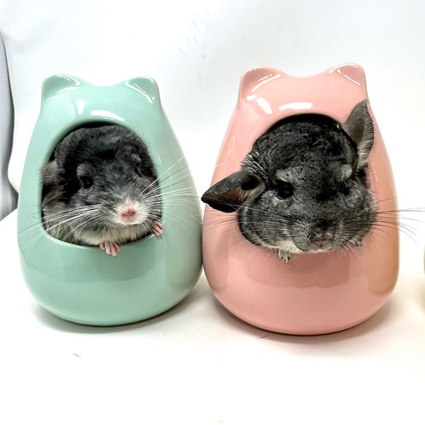 Chinchilla Houses, Nest Boxes, and Hideouts Exotic Animal Supplies