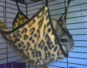 Fleece Chinchilla Hammock