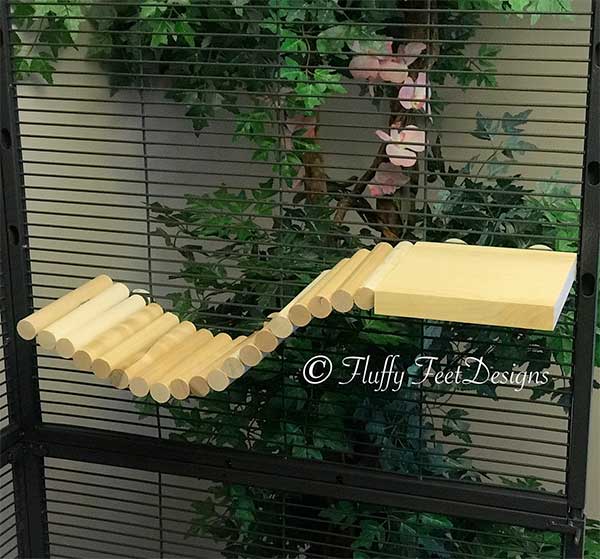 Best Chinchilla Ledges and Shelves for Cages Exotic Animal Supplies
