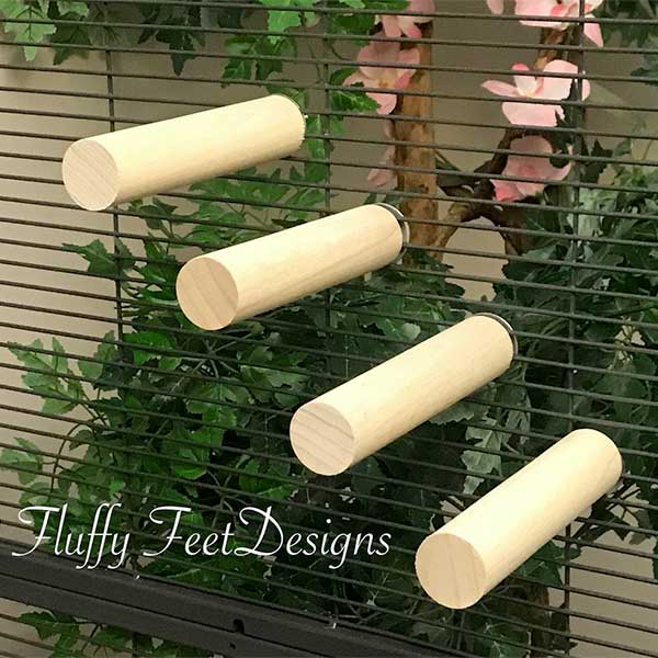 Best Chinchilla Ledges and Shelves for Cages Exotic Animal Supplies