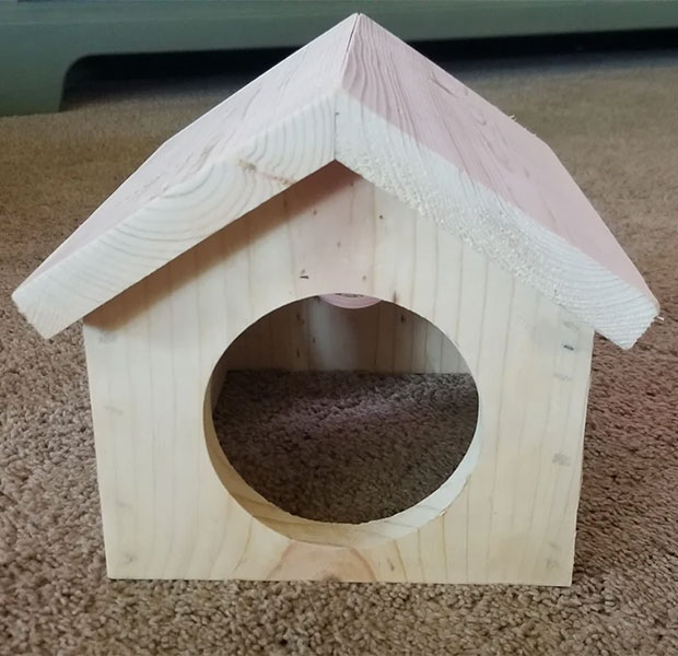 Chinchilla Houses, Nest Boxes, and Hideouts - Exotic Animal Supplies