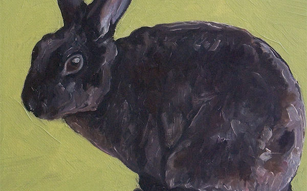 Custom Rabbit Portrait Oil Painting