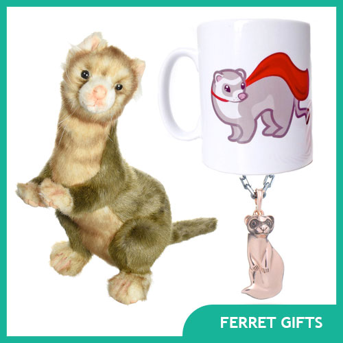 Ferret Gifts