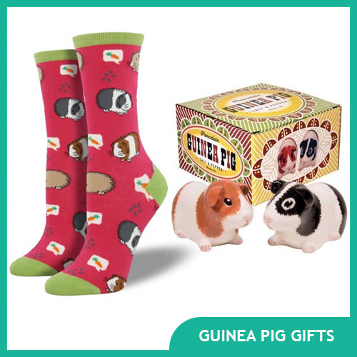 Gifts for Guinea Pig Lovers and Owners