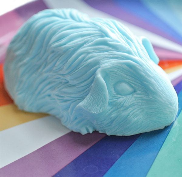 20 Gifts for Guinea Pig Lovers & Owners Exotic Animal Supplies