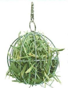 Dangerous Hay Food Ball for Chinchillas