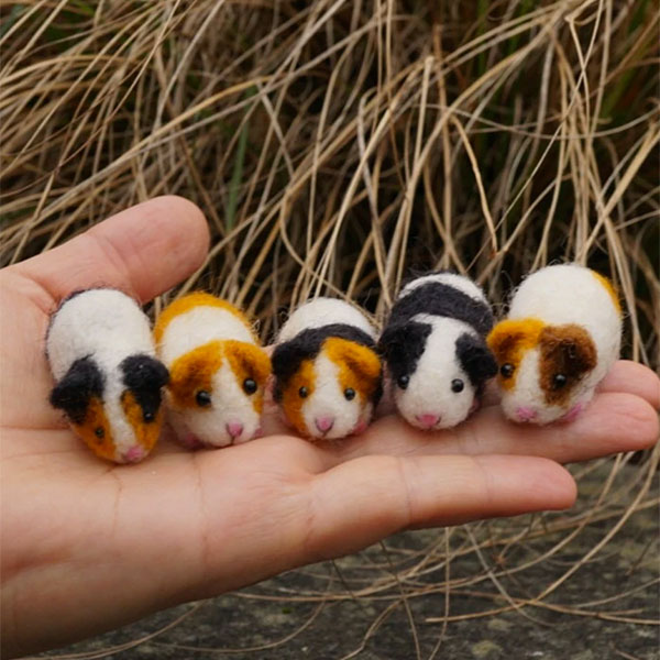 25 Gifts for Guinea Pig Lovers & Owners Exotic Animal Supplies