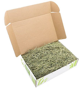 Small Pet Select Timothy Hay for Guinea Pigs