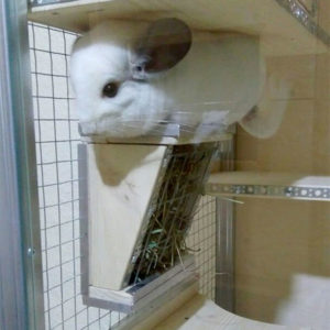 Chinchilla hay outlet holder