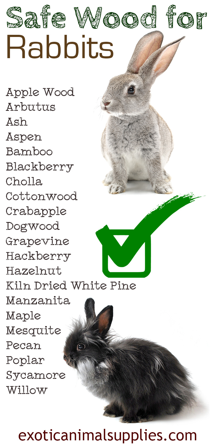 Safe Wood for Rabbits for Toys, Chews, & Cages
