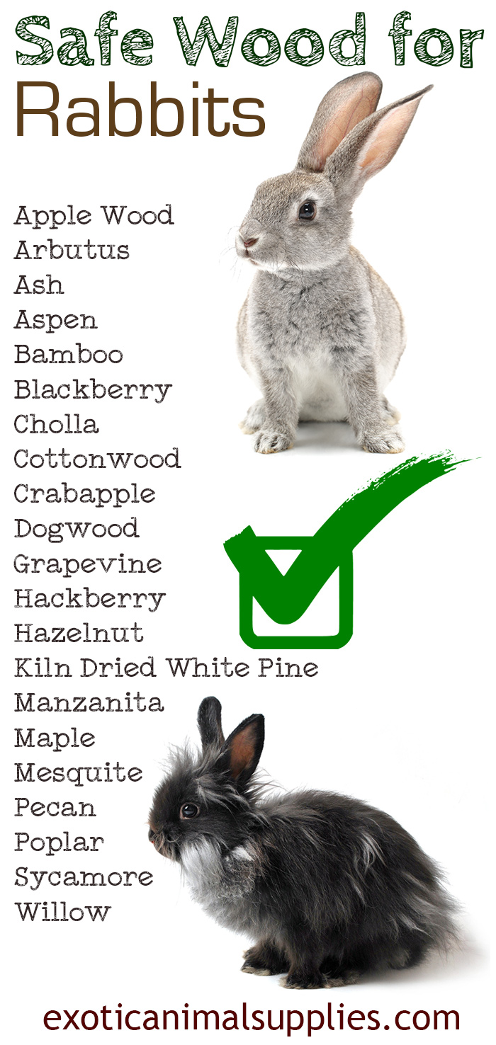 Safe Wood for Rabbits for Toys, Chews, & Cages Exotic Animal Supplies