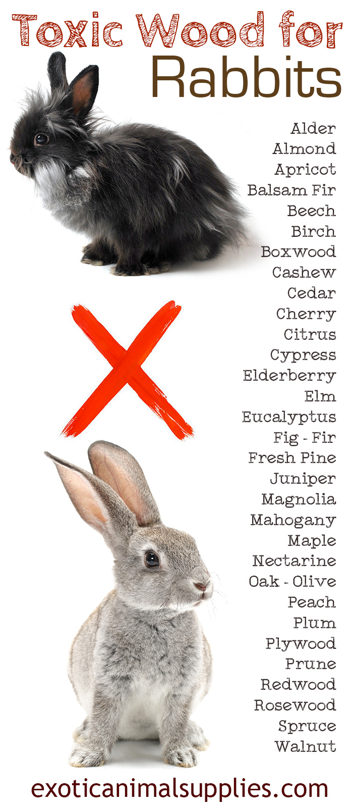 Toxic Wood for Pet Bunny Rabbits