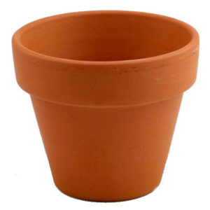 Terracotta Pots