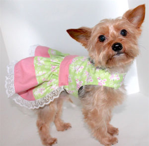 Easter Dog Dress