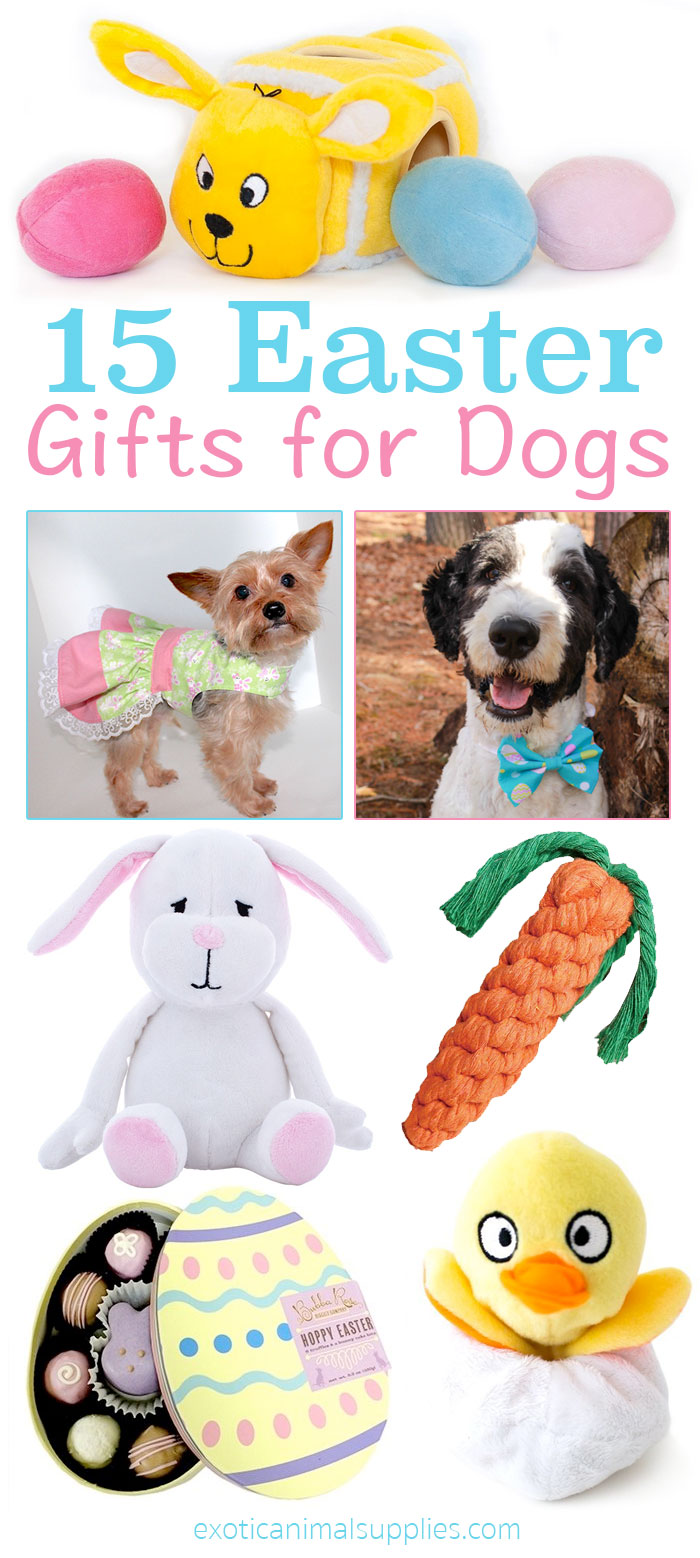 15 Easter Gifts for Dogs &amp; Puppies Exotic Animal Supplies