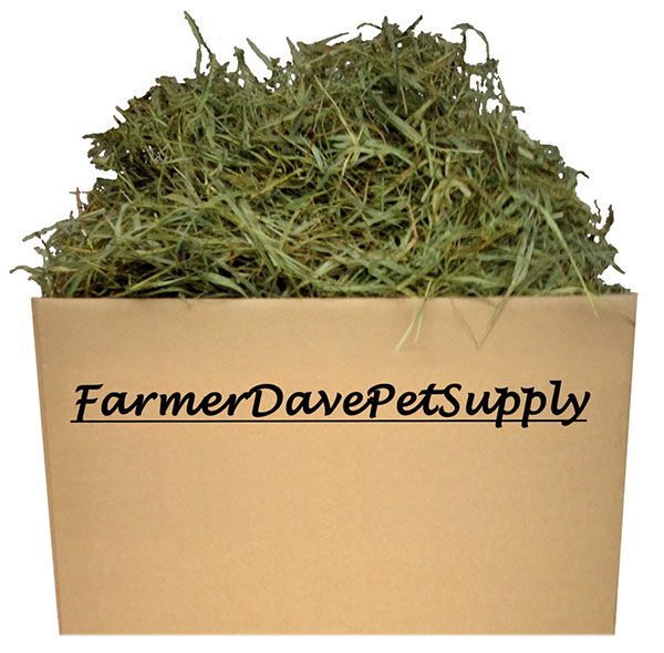 Guinea Pig Food Cavy Diet & Nutrition Exotic Animal Supplies