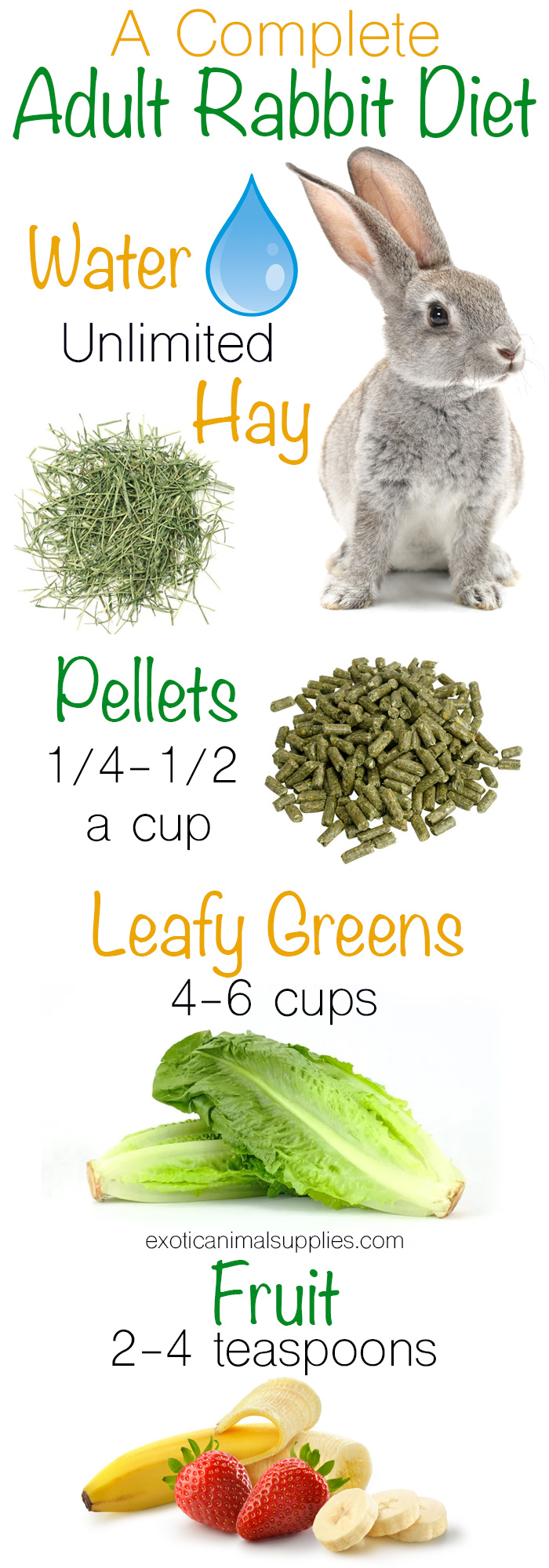 Pet Rabbit Diet Bunny Food Nutrition Exotic Animal Supplies