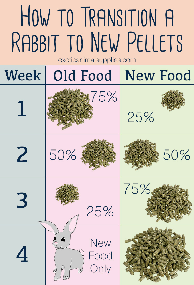 How to Transition a Rabbit to New Pellets