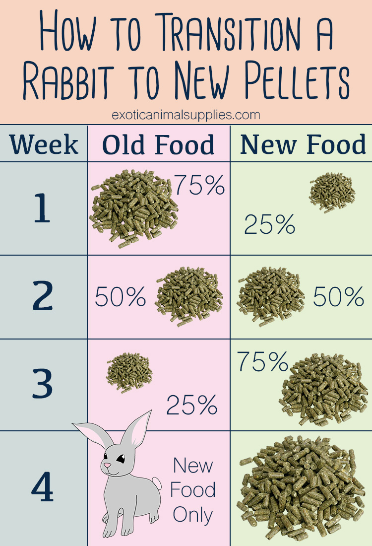 Bunny food cheap pellets