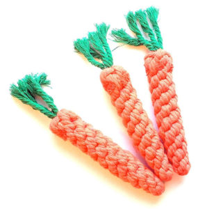 Rope Carrot Dog Toy