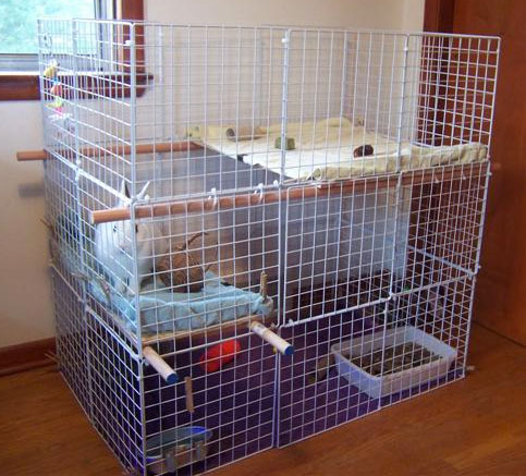 custom rabbit cages for sale