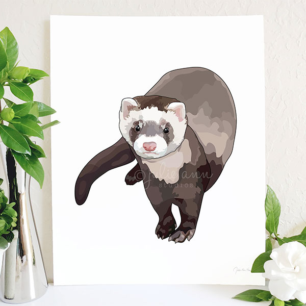 Ferret Art Print Exotic Animal Supplies