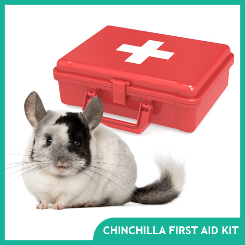 Chinchilla First Aid Kit for Emergencies