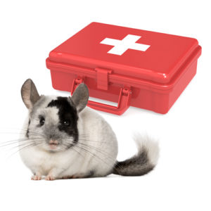 Chinchilla First Aid Kit for Emergencies