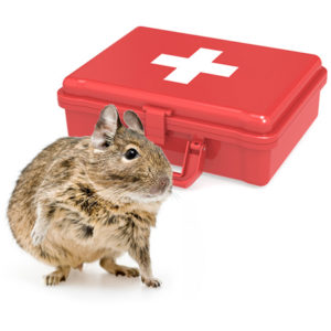 Degu First Aid Kit for Emergency Care