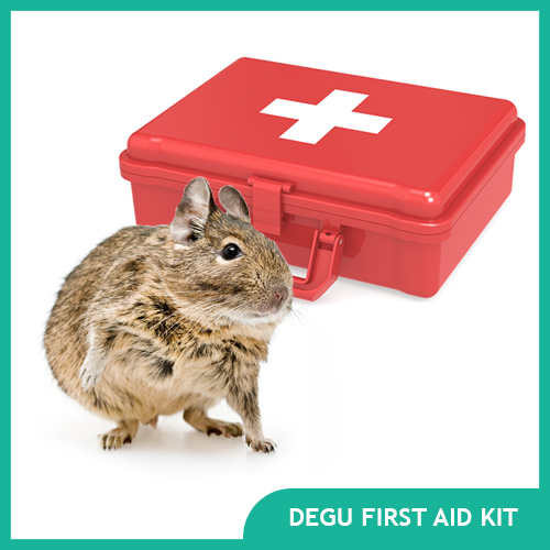 Degu First Aid Kit for Emergency Care