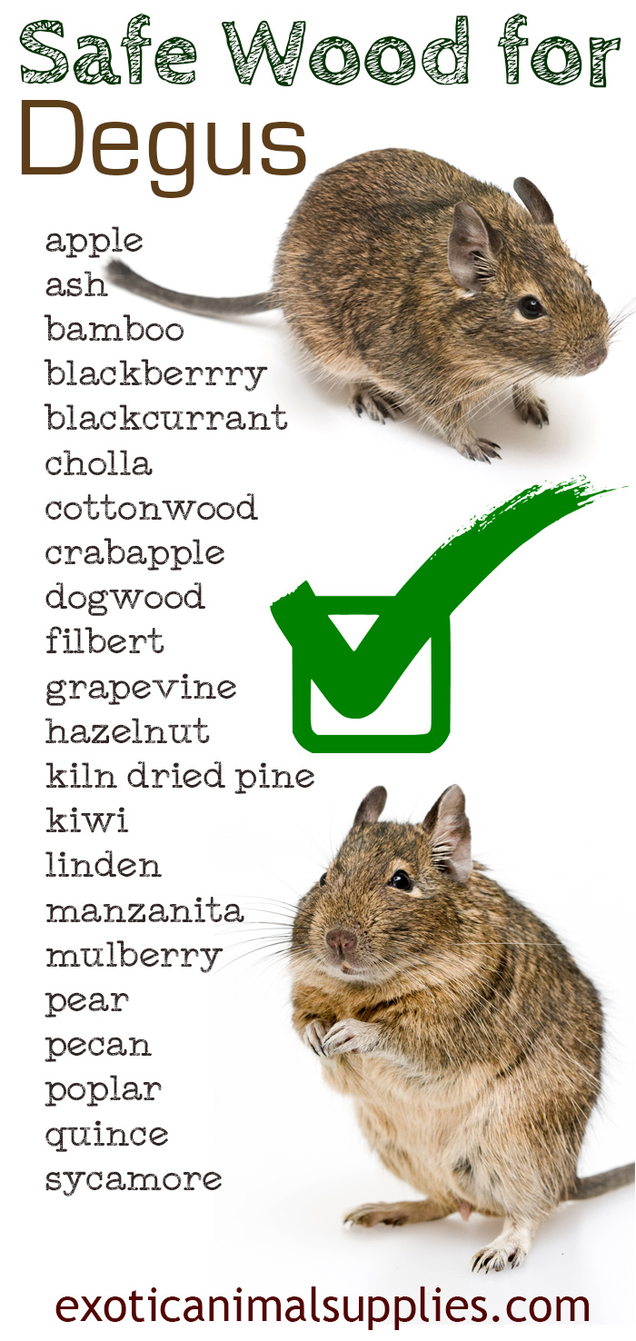 Safe Wood for Degus List