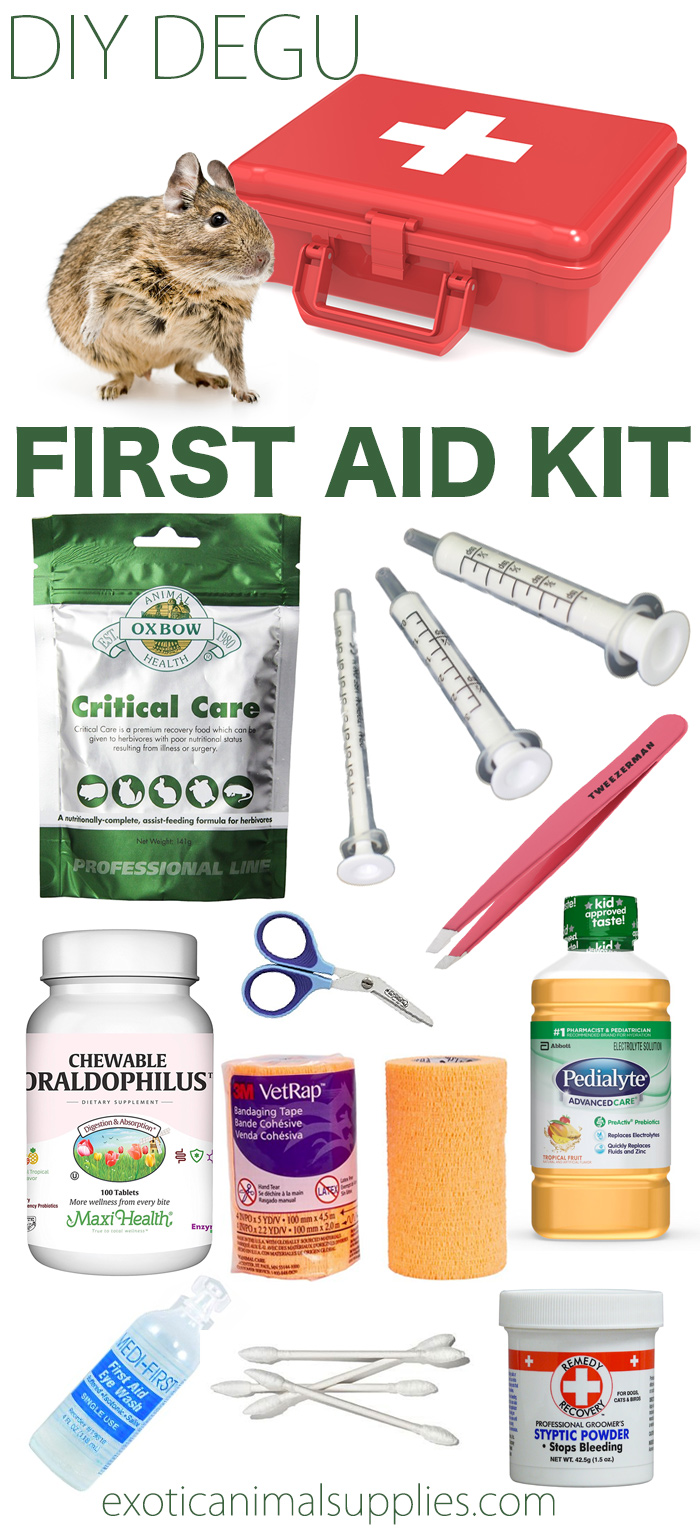 DIY Degu First Aid Kit - Everything you need for emergency care