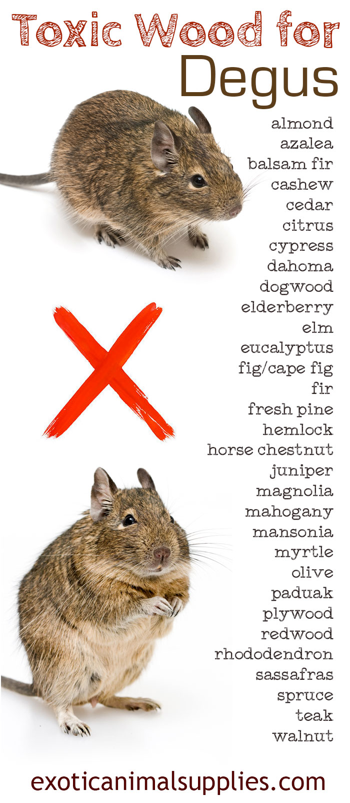 Toxic Wood For Degus