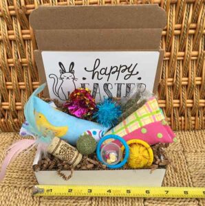 Mini Easter Cat Toy Gift Box