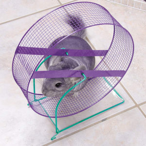 Dangerous Wire Chinchilla Wheel