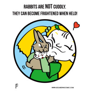 Rabbits Don't Like to Cuddle