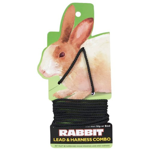 Never Buy Dangerous Rabbit Leash