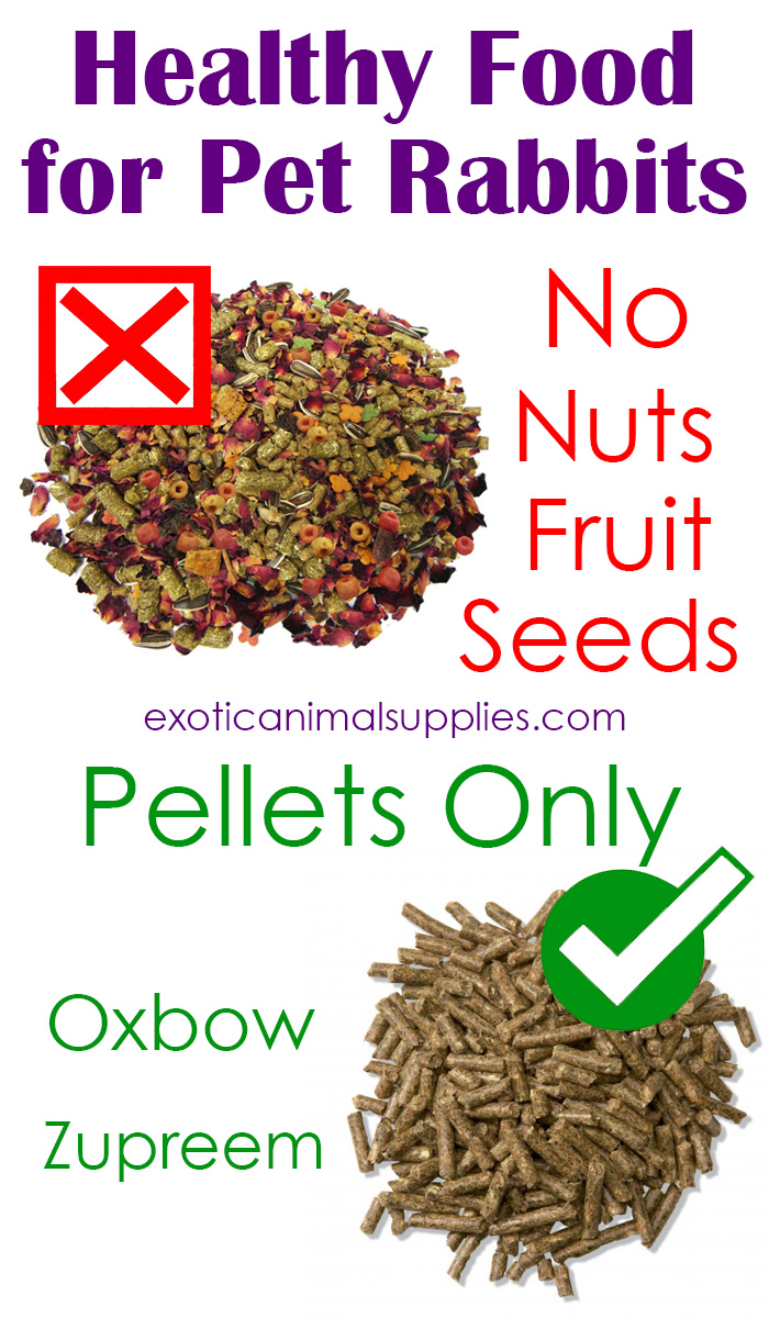 Healthy Pellet Food for Pet Rabbits