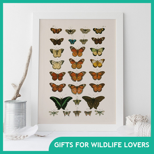 Gifts for Wildlife Lovers & Nature Enthusiasts