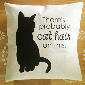 There's Probably Cat Hair on This Funny Pillow