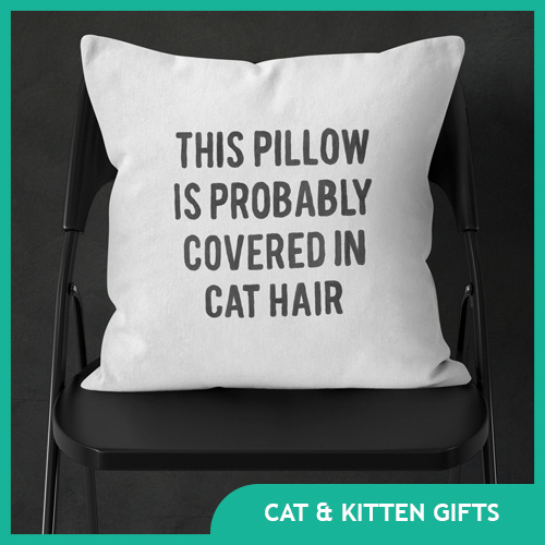 The Ultimate Kitty Cat Gift List: 50 Gift Ideas for Kitten Lovers