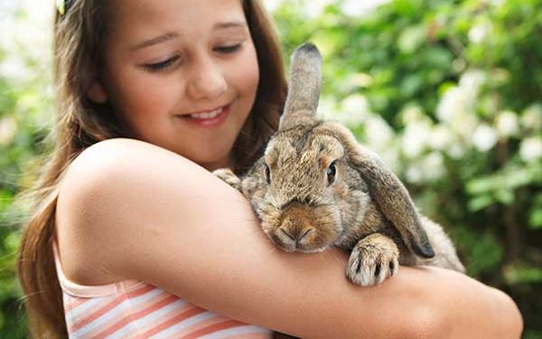 Everything You Need for a Pet Rabbit - New Owner Checklist