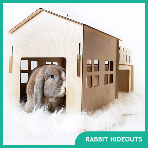Best Rabbit Hideouts for your Bunny