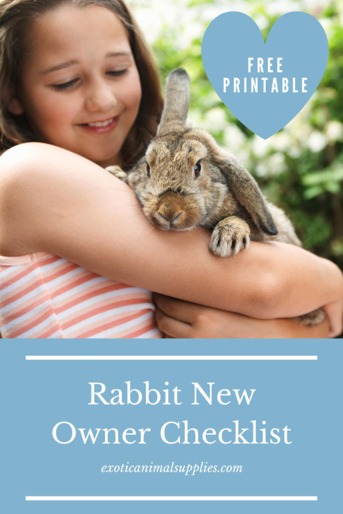 Everything You Need for a Pet Rabbit New Owner Checklist Exotic