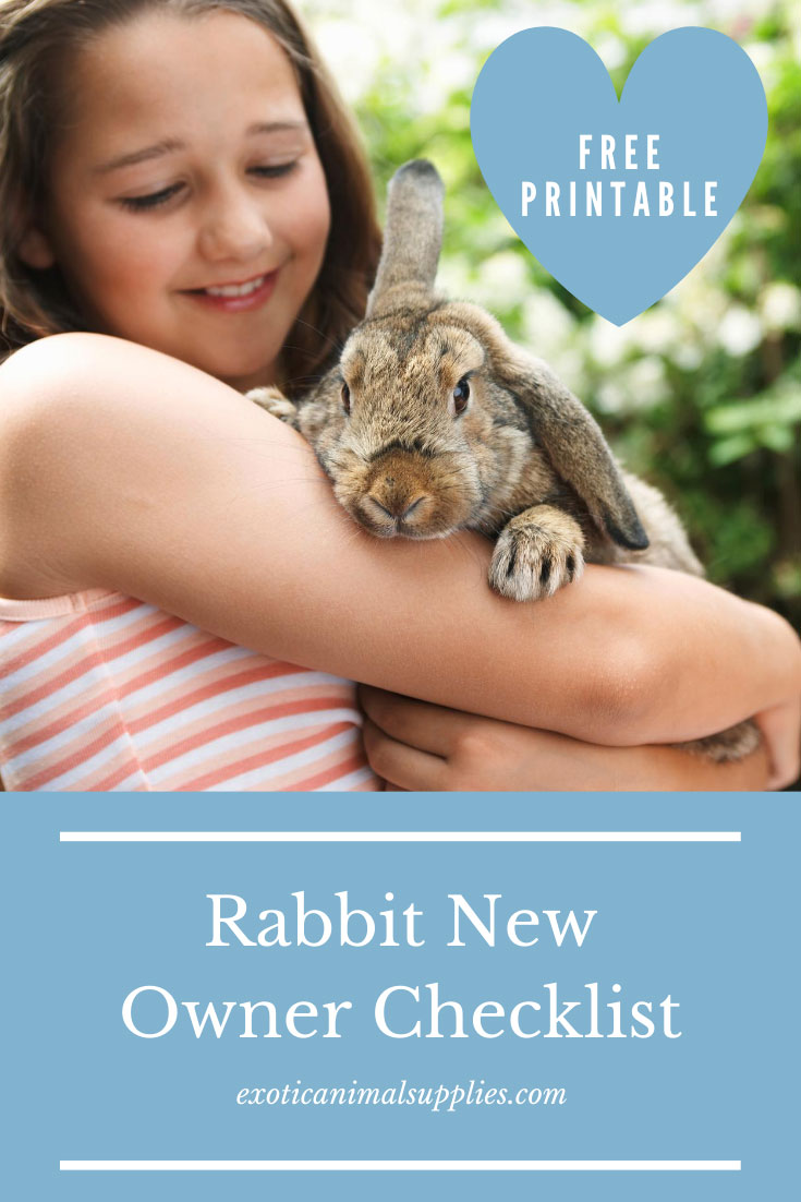Everything You Need for a Pet Rabbit - New Owner Checklist